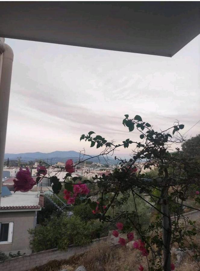 Όμορφο Και Ευρύχωρο Διαμέρισμα Με Θέα! Apartment Nafplio Bagian luar foto