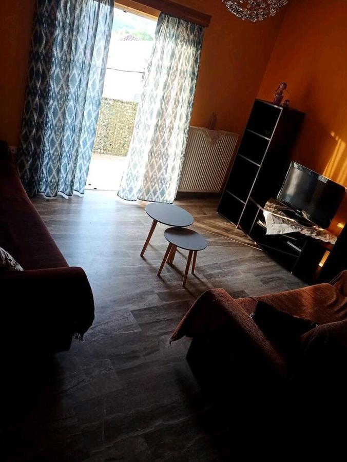 Όμορφο Και Ευρύχωρο Διαμέρισμα Με Θέα! Apartment Nafplio Bagian luar foto